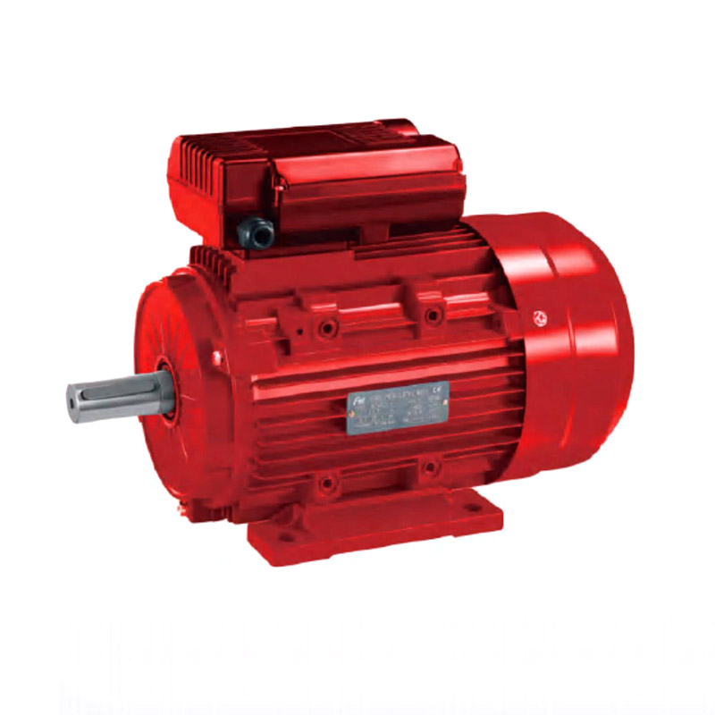 YL asynchronous motor with double-circuit capacitor