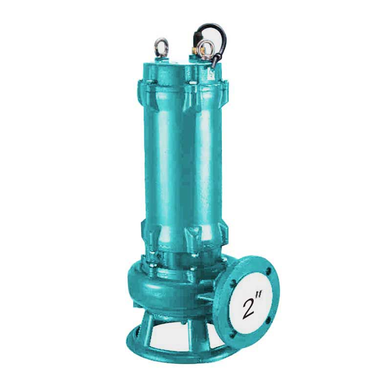 WQD - C 2P Grinding Machine Cast Iron Sewage Pump